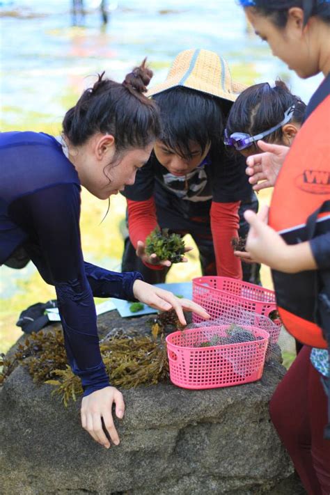 BS BIOLOGY MAJOR IN SYSTEMATICS .